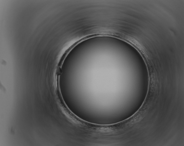 X0000091101128200708061016