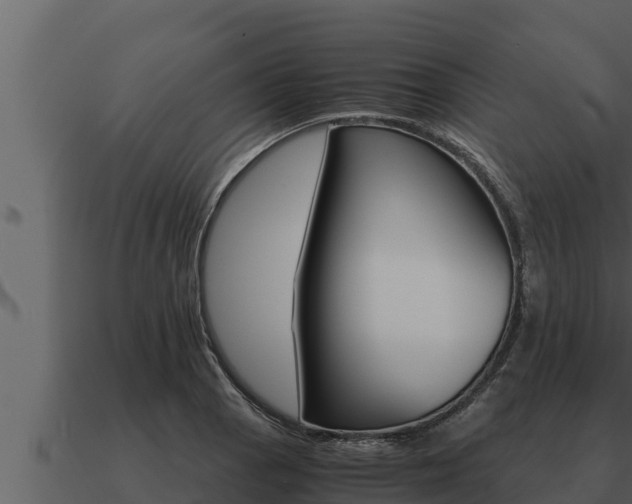 X0000091101129200708061016
