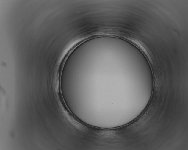 X0000091101131200708061016