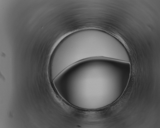 X0000091101132200708061016