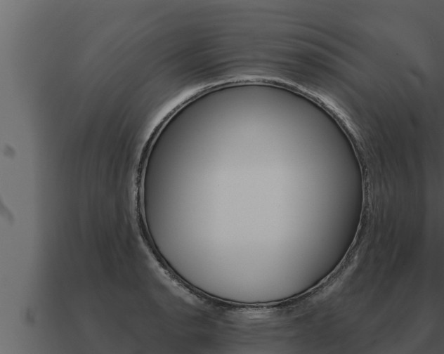 X0000091101134200708061016