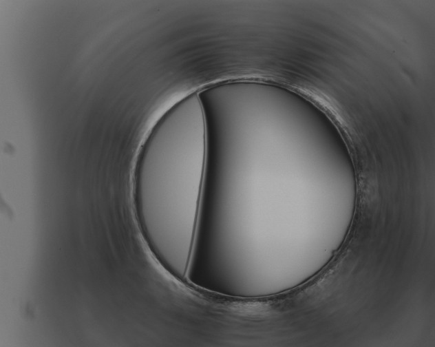 X0000091101135200708061016