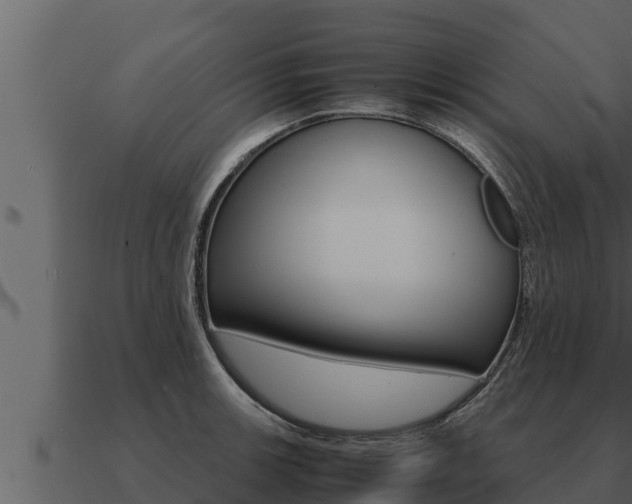 X0000091101139200708061016