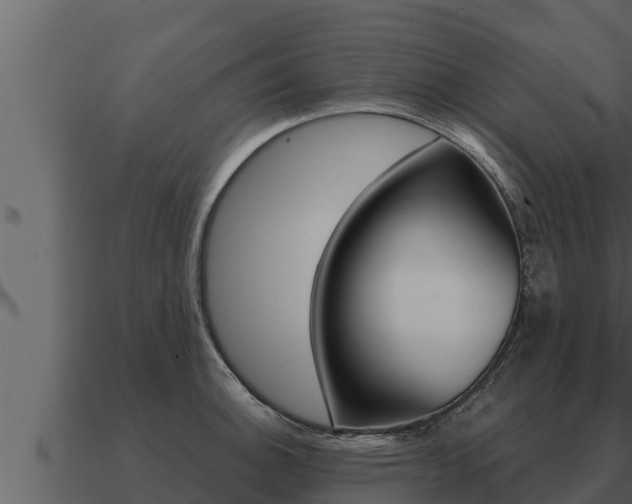 X0000091101140200708061016