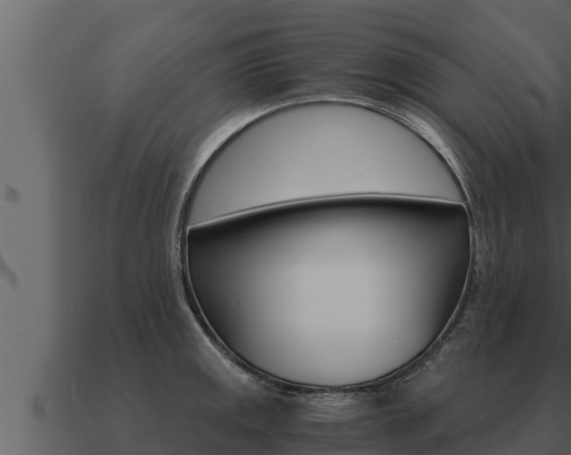 X0000091101141200708061016