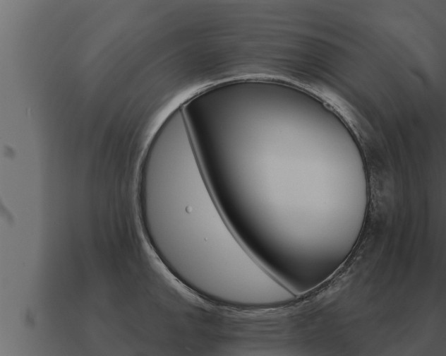 X0000091101142200708061016