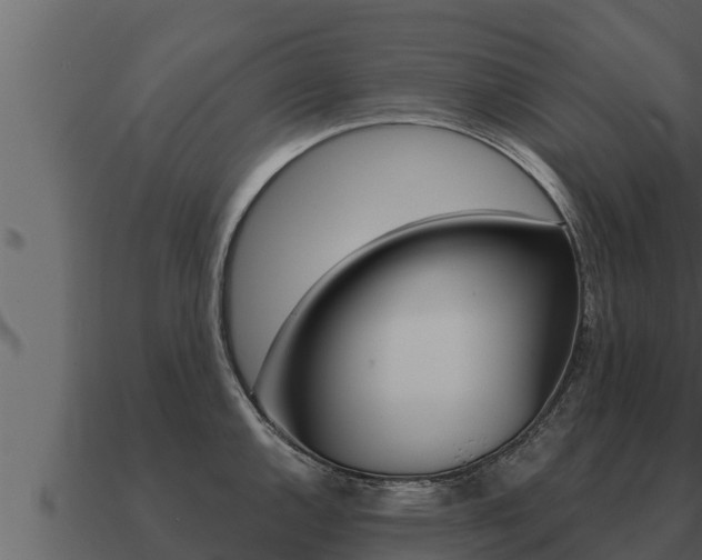 X0000091101144200708061016