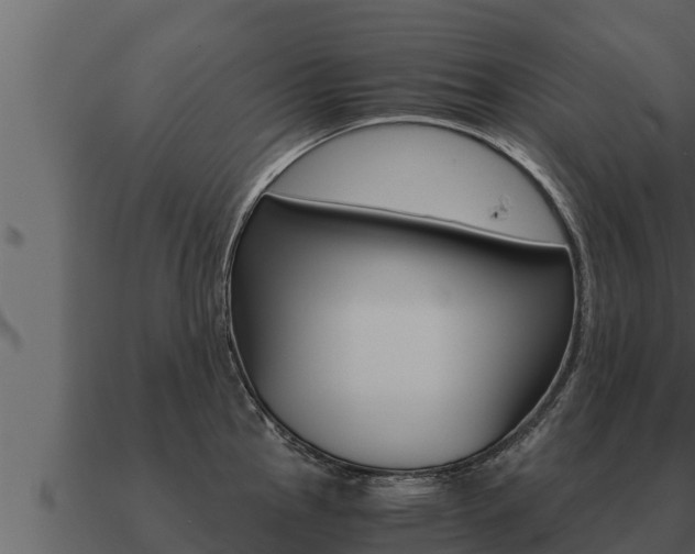 X0000091101145200708061016