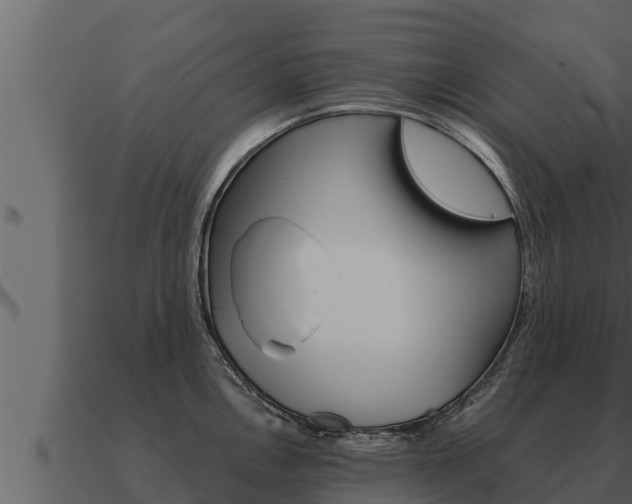 X0000091101146200708061016