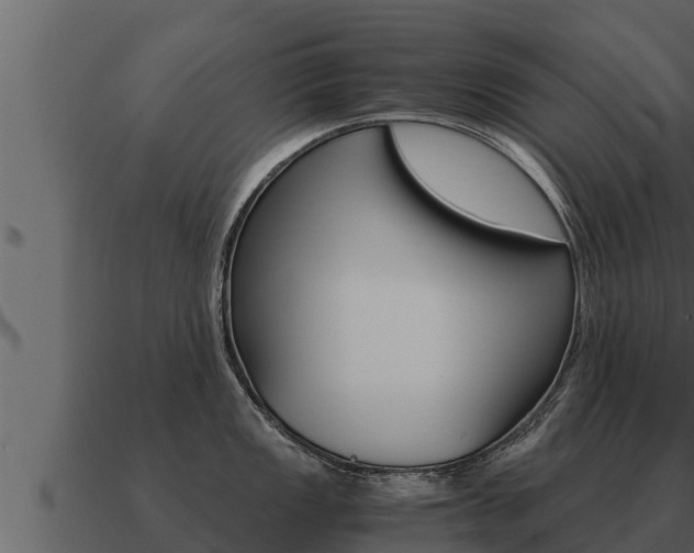 X0000091101149200708061016