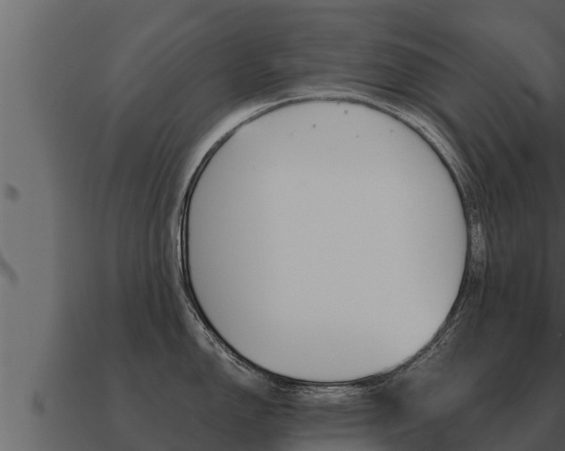 X0000091101150200708061016