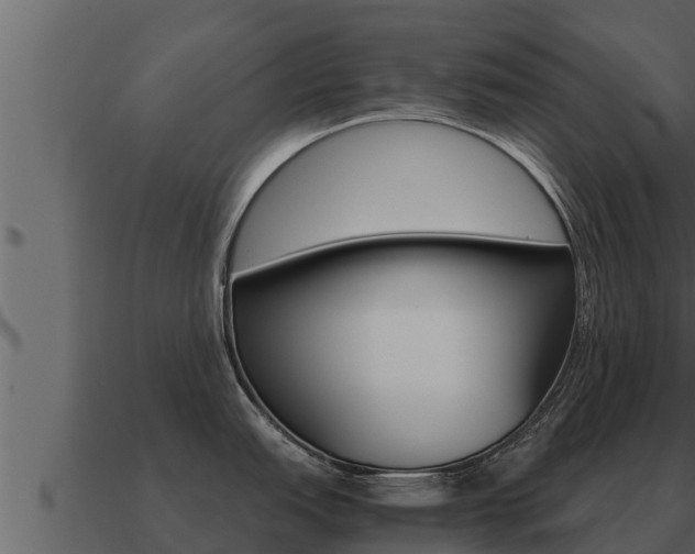 X0000091101151200708061016