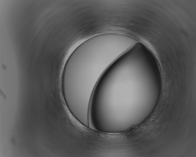 X0000091101152200708061016