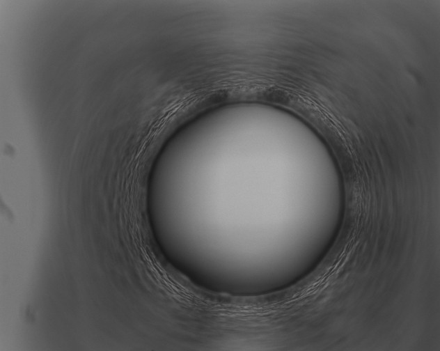 X0000091101153200708061016