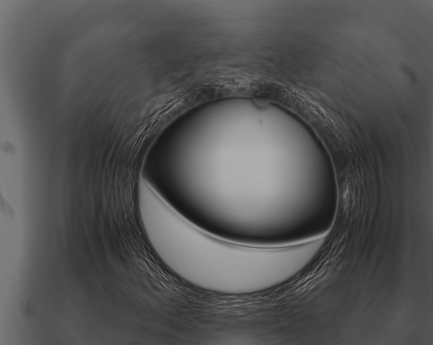 X0000091101156200708061016