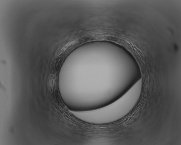 X0000091101157200708061016