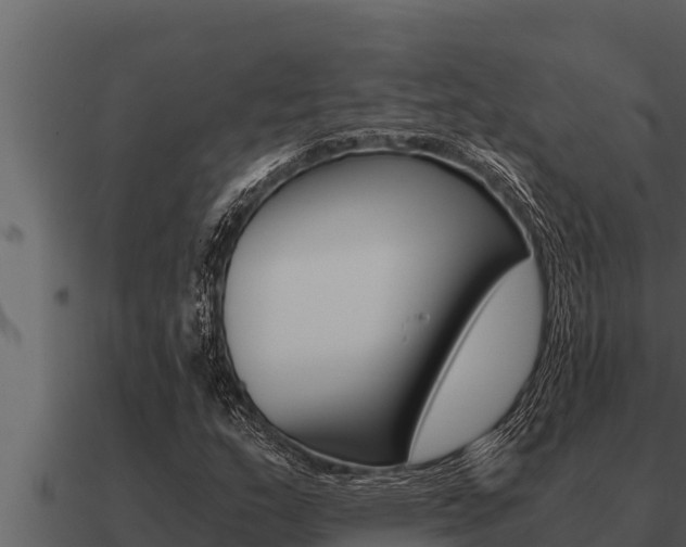 X0000091101159200708061016
