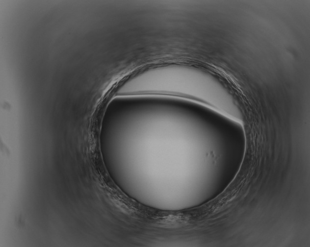 X0000091101160200708061016
