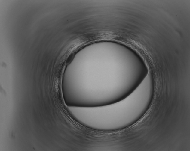X0000091101161200708061016