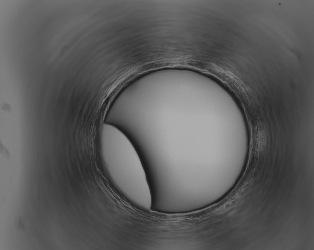 X0000091101162200708061016