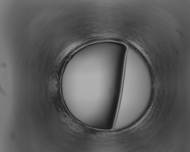 X0000091101163200708061016