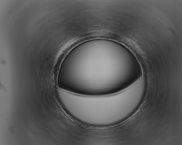 X0000091101164200708061016