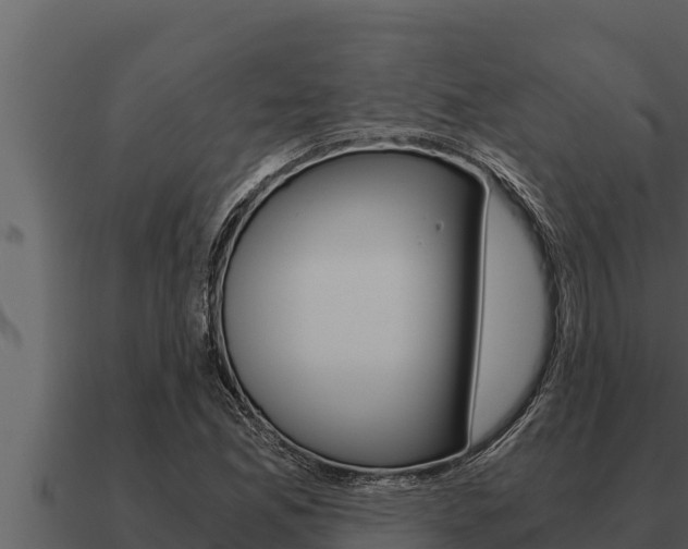 X0000091101165200708061016