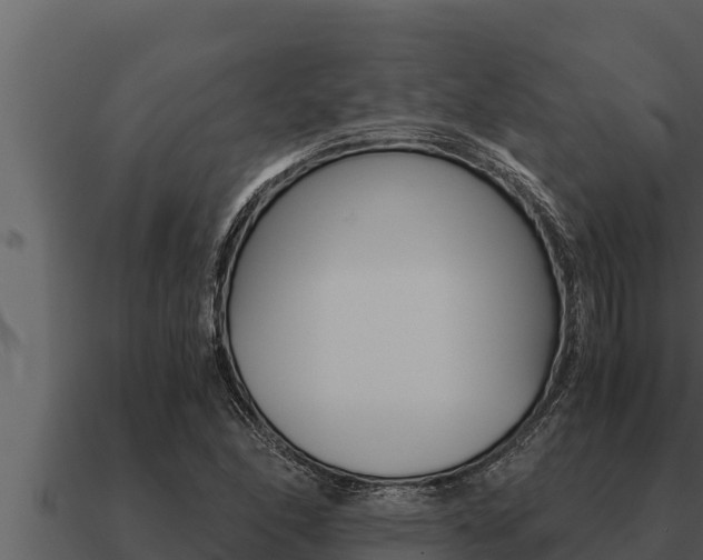 X0000091101166200708061016