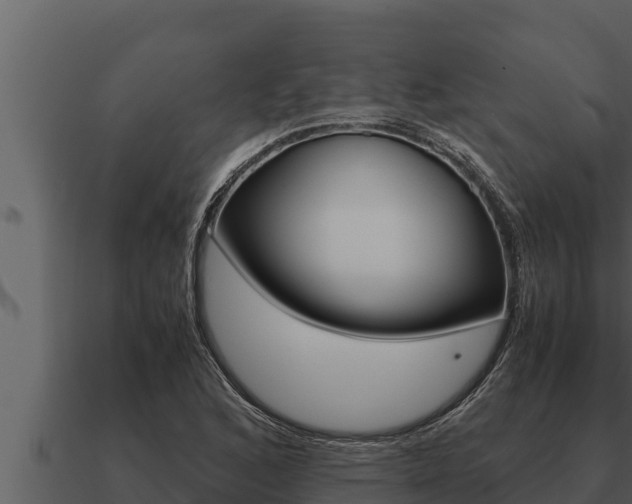 X0000091101168200708061016