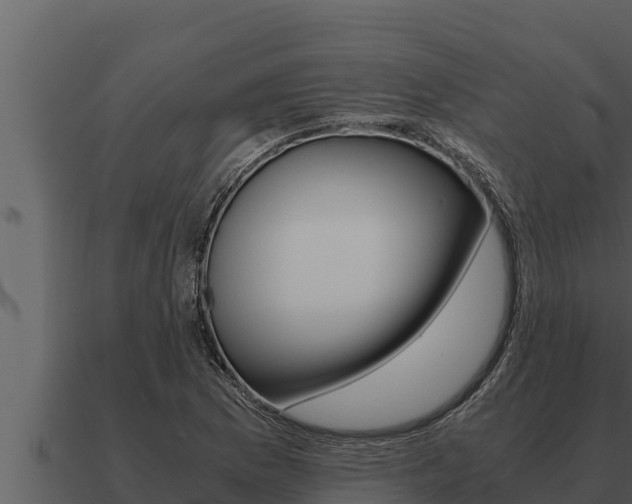X0000091101169200708061016