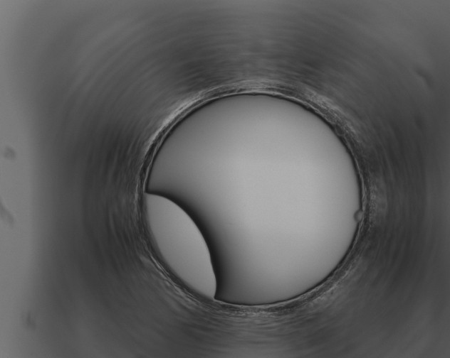 X0000091101170200708061015