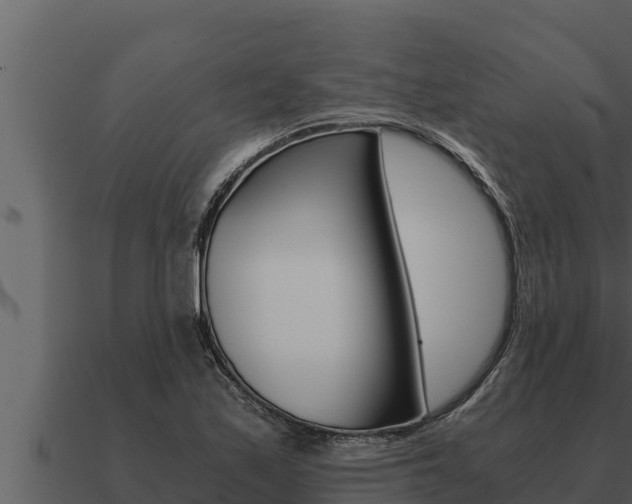 X0000091101171200708061015