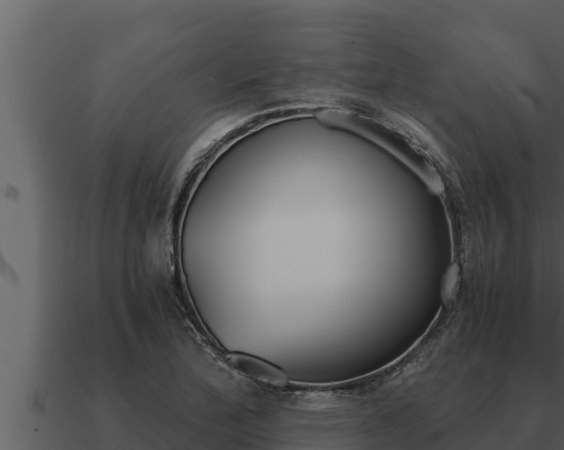 X0000091101172200708061015
