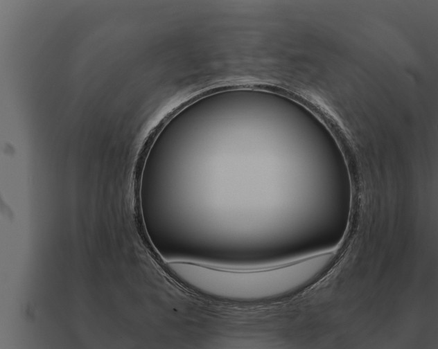 X0000091101173200708061015