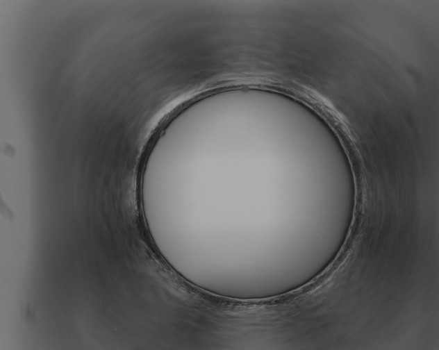 X0000091101174200708061015