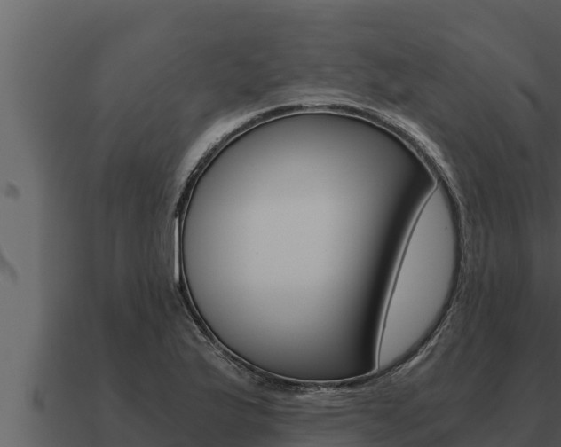 X0000091101175200708061015