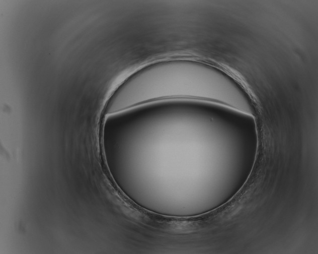 X0000091101176200708061015