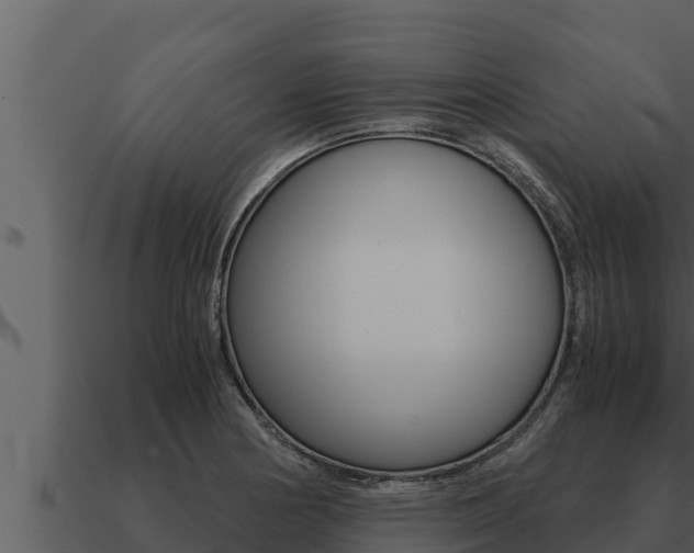 X0000091101178200708061015