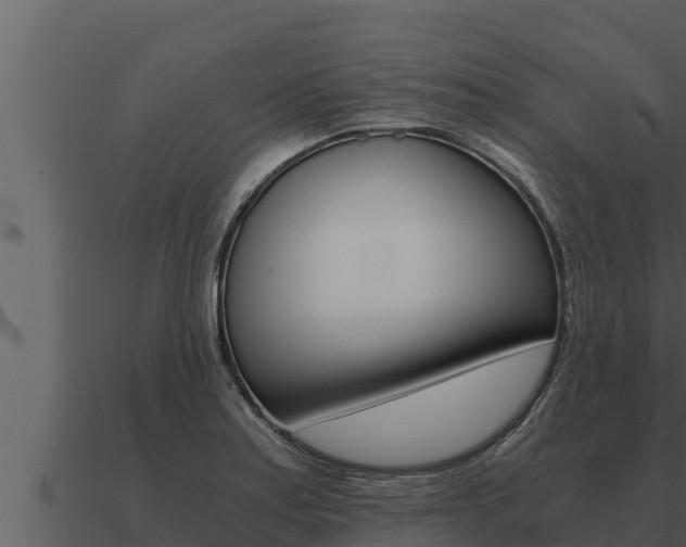 X0000091101179200708061015