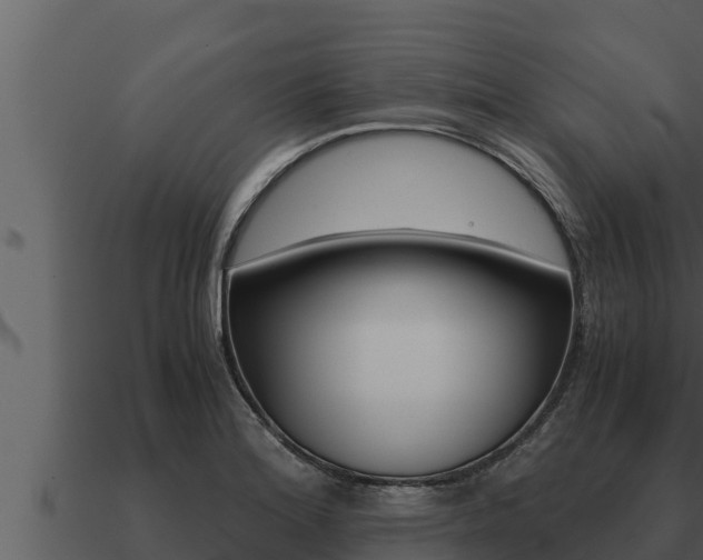 X0000091101180200708061015