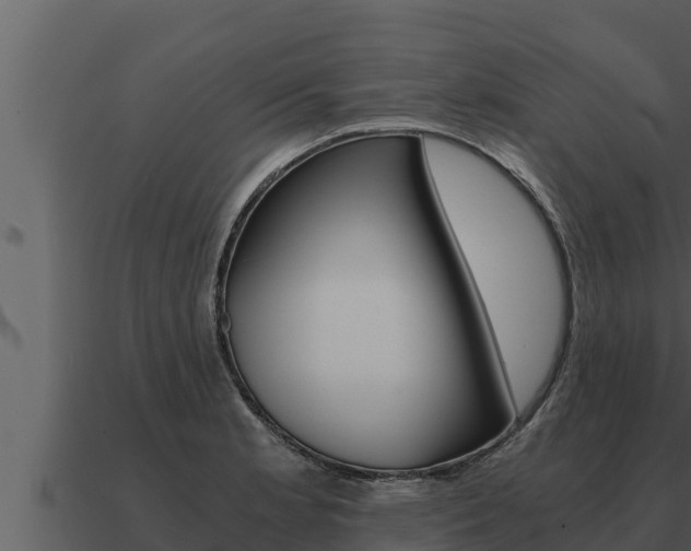 X0000091101181200708061015