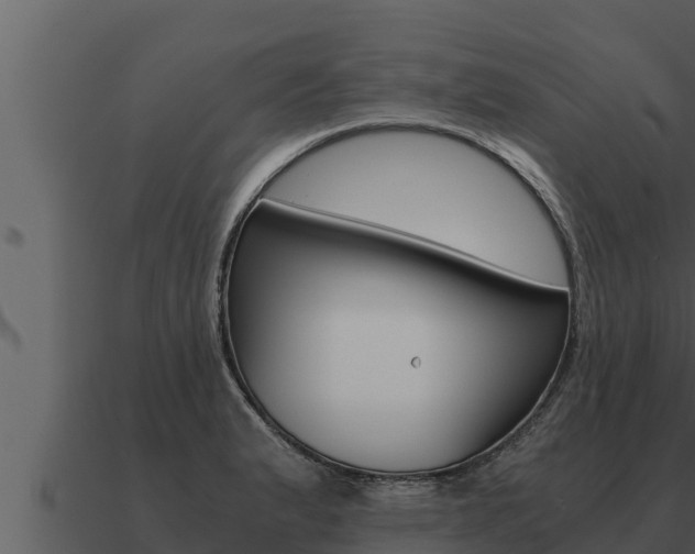 X0000091101183200708061015