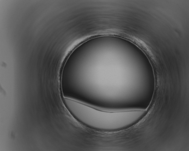 X0000091101184200708061015