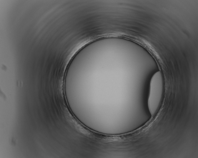 X0000091101186200708061015