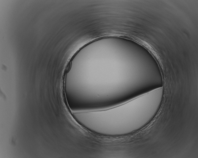 X0000091101187200708061015