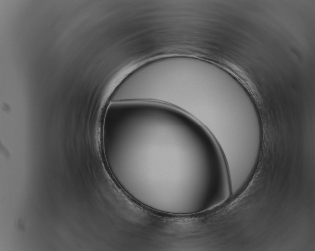 X0000091101188200708061015