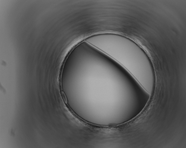 X0000091101189200708061015