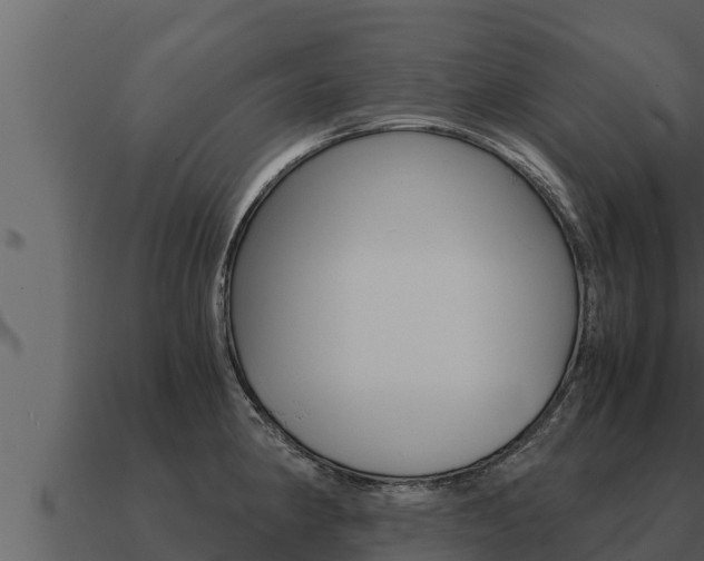 X0000091101190200708061015