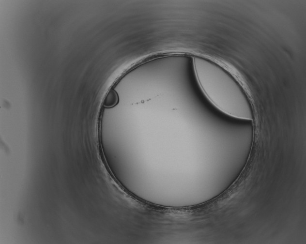 X0000091101191200708061015