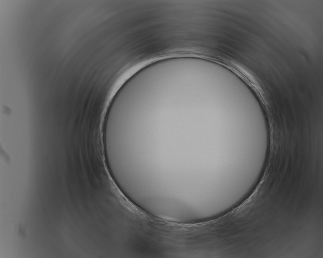 X0000091101192200708061015